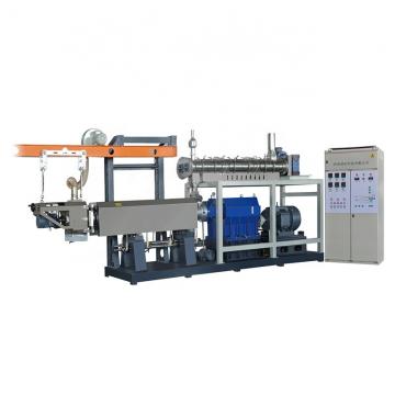 Popular Twin Extruder for Corn Puffed Snack Making Machine