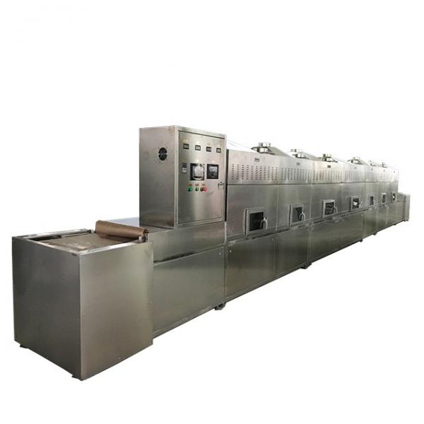 Commercial Industrial Electric Automatic Microwave Oven
