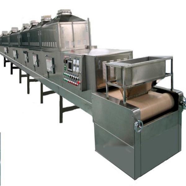 Saibainuo Continuous Vegetable Dehydrator Cassava Chip Microwave Vacuum Belt Drying Spices and Herbs Chili Drying Sterilizing Dryer
