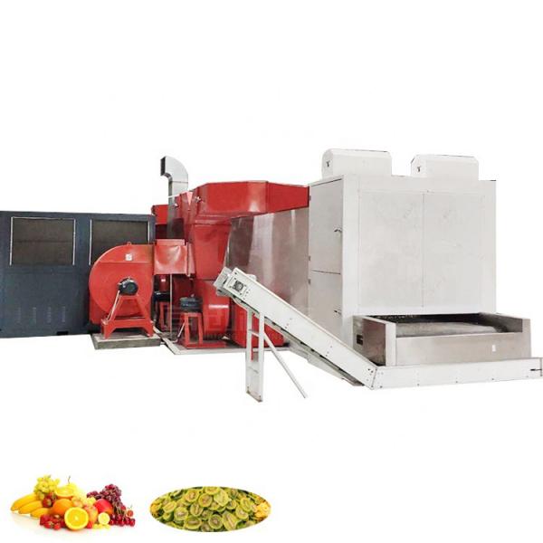 Tunnel Infrared Ray Dryer Small Tunnel Conveyor Dryer Infrared Ray Drying Machine