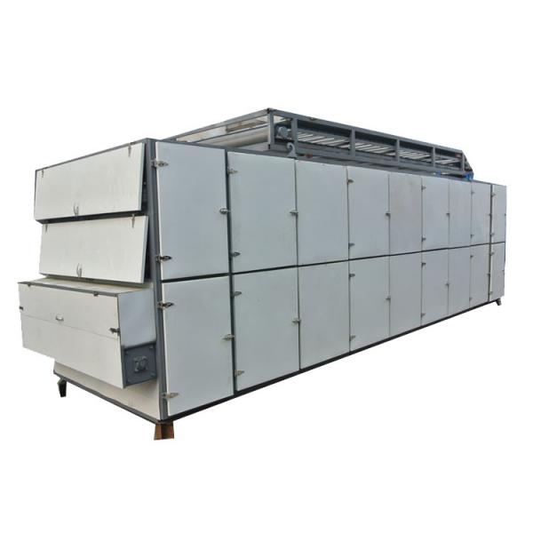 Conveyor Mesh Belt Type Air Drying Machine / Vegetable Dryer Machine