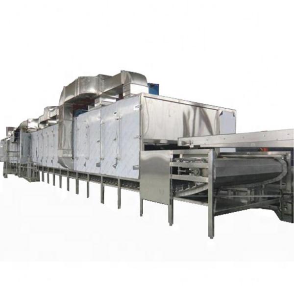 Food Conveyor Mesh Belt Dryer Machiery Fruit Vegetable Drying Machine