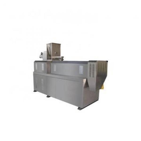 Big capacity good price plant stainless steel Instant Fortified Cereal machinery automatic artificial rice making machine