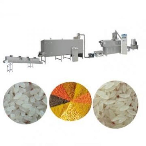nutritional rice plant machinary reconstituted rice line