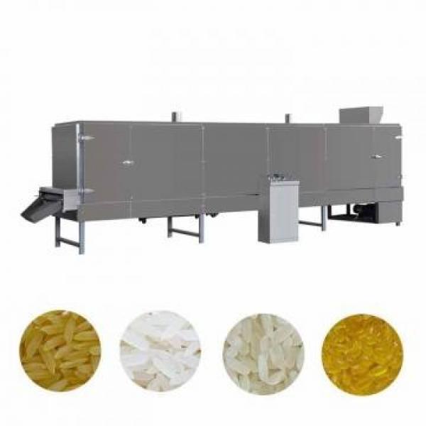 Fortified Nutritional Artificial Rice Making Machinery Artificial Rice Processing Extruder