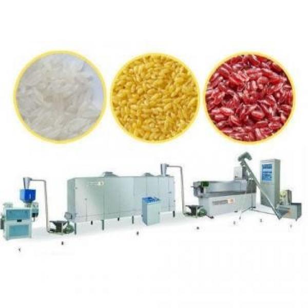 Double screw extruder artificial nutritional reinforced rice processing line